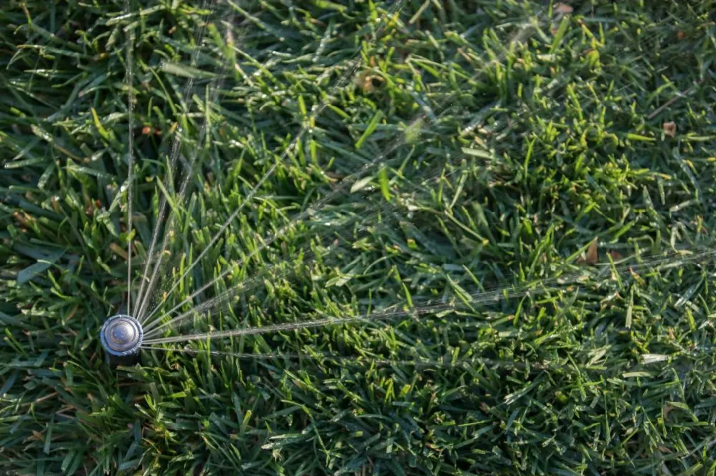 Rain Bird R-VAN-24 Rotary Nozzle 17ft to 24ft - Adjustable