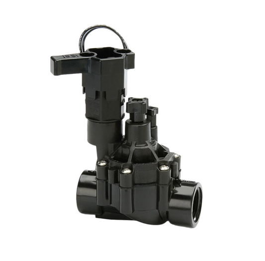 Rain Bird DV-F100 Solenoid Valve with Flow Control: 25mm BSP