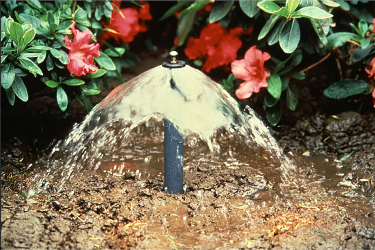 Rain Bird 1400 Pressure Compensating Bubbler Adjustable