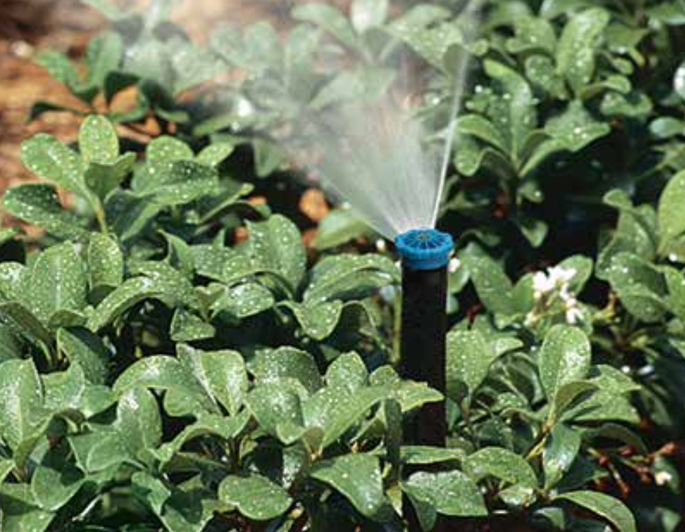 K-Rain NP 4" Pop-Up Sprayer