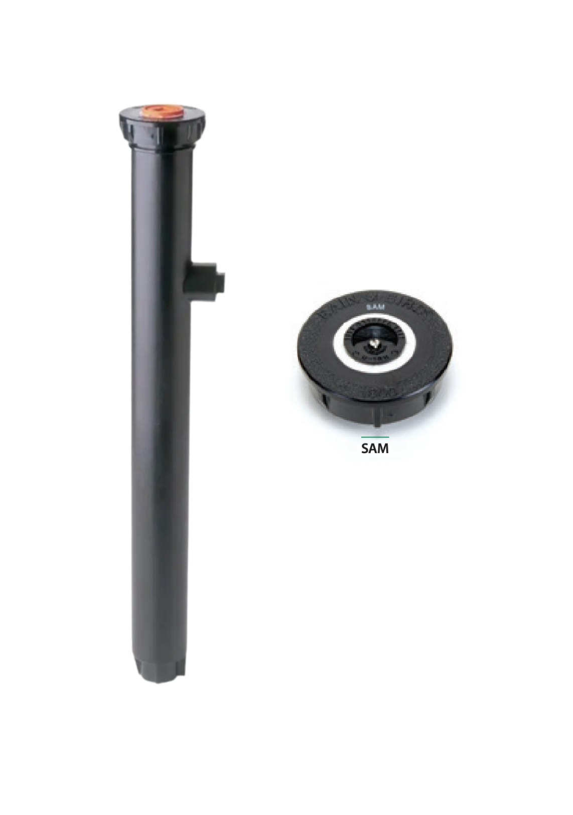 Rain Bird 1812 Pop-Up 12" body + Stop-a-matic (SAM) Check valve