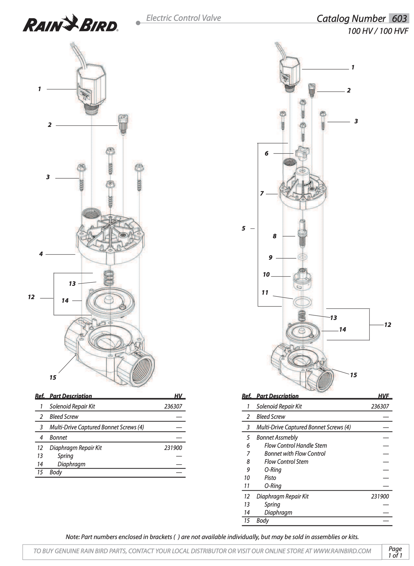 Rain Bird HV100 Solenoid Valve: 25mm BSP